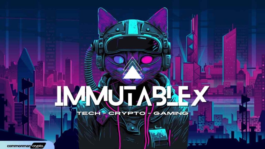 what is ImmutableX