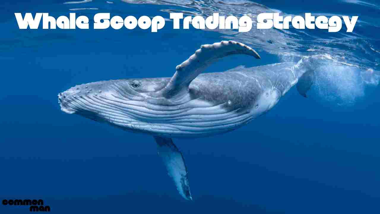 Whale Scoop Trading Strategy