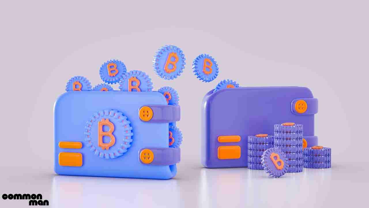 What Are AI Crypto Wallets Exploring the Future of Digital Asset Management