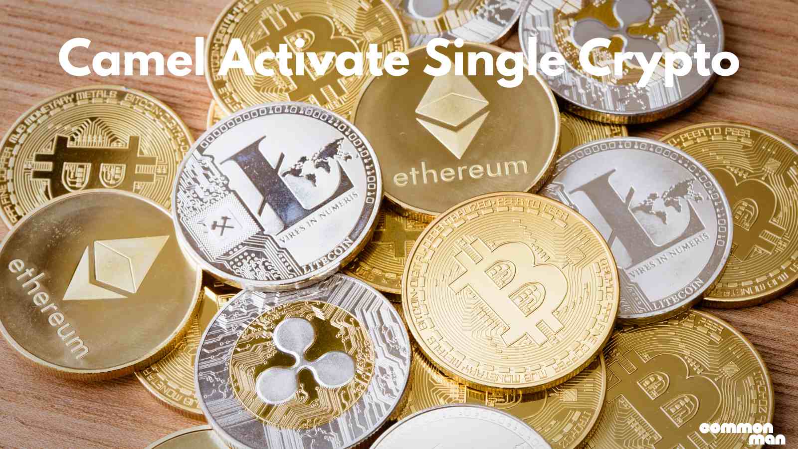 Camel Activate Single Crypto
